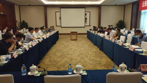 桃源水库工程可行性研究报告技术咨询会在京圆满召开